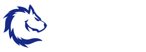 足彩网